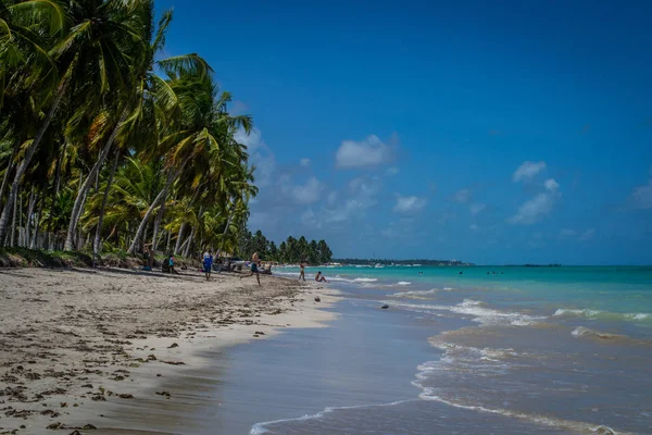 Plajele Din Brazilia Maragogi Statul Alagoas — Fotografie, imagine de stoc