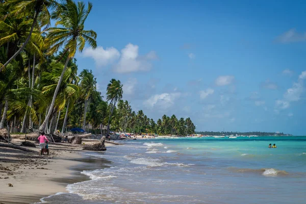 Beaches Brazil Maragogi Alagoas State — Stock Photo, Image