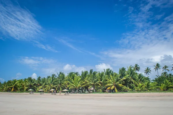 Stranden Van Brazilië Maragogi Braziliaanse Staat Alagoas — Stockfoto