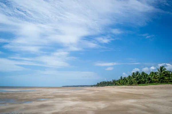 Stranden Van Brazilië Maragogi Braziliaanse Staat Alagoas — Stockfoto