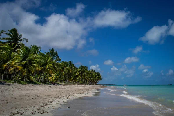 Stranden Van Brazilië Maragogi Braziliaanse Staat Alagoas — Stockfoto