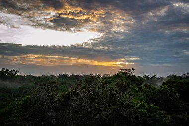 Brezilya - Manaus, Amazonas devlet şehirler