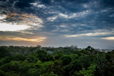 Brezilya - Manaus, Amazonas devlet şehirler