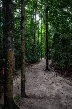 Brezilya - Manaus, Amazonas devlet şehirler
