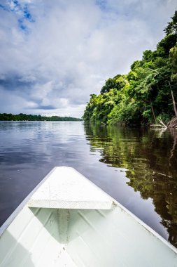Brezilya - Manaus, Amazonas devlet şehirler