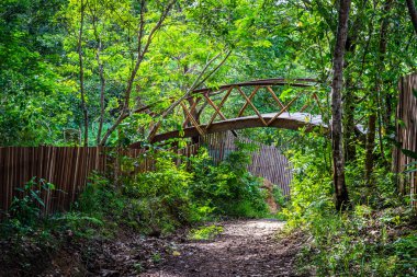 Brezilya - Manaus, Amazonas devlet şehirler