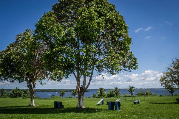 Města Státu Amazonas Brazílie Manaus — Stock fotografie