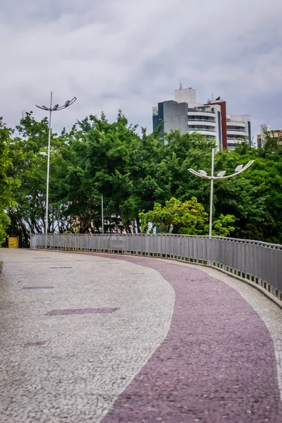 Města Státu Amazonas Brazílie Manaus — Stock fotografie