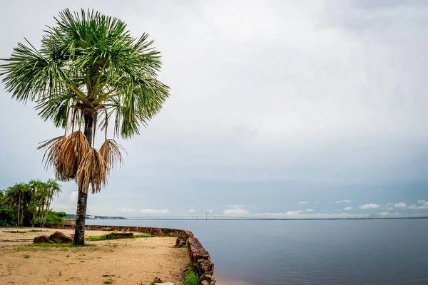 Města Státu Amazonas Brazílie Manaus — Stock fotografie