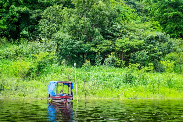 Ciudades Brasil Manaus Amazonas Estado —  Fotos de Stock