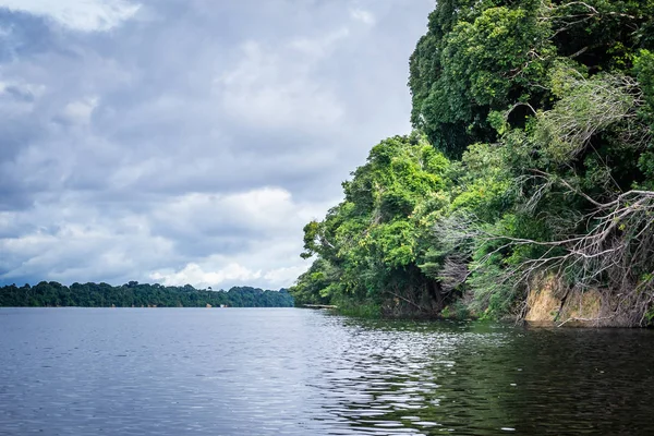 Ciudades Brasil Manaus Amazonas Estado —  Fotos de Stock