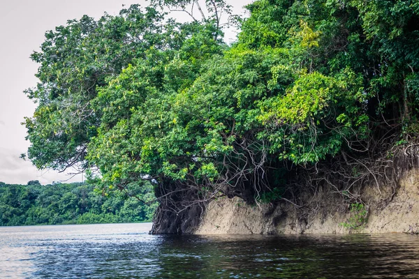 Ciudades Brasil Manaus Amazonas Estado —  Fotos de Stock