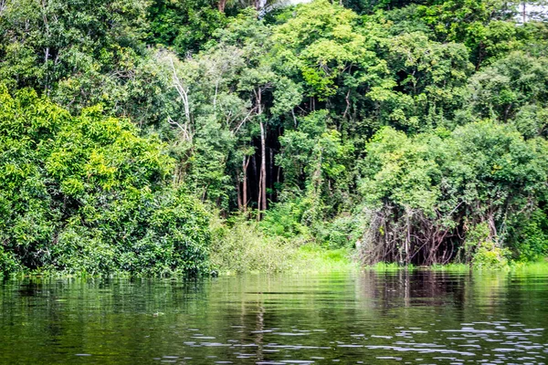 Ciudades Brasil Manaus Amazonas Estado —  Fotos de Stock