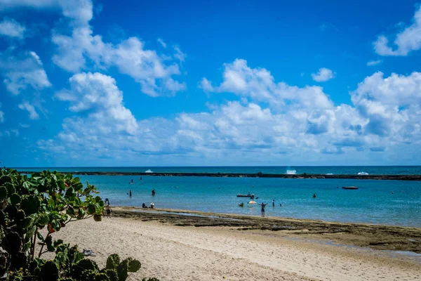 Pláže Brazílii Praia Frances Marechal Deodoro Státu Alagoas — Stock fotografie