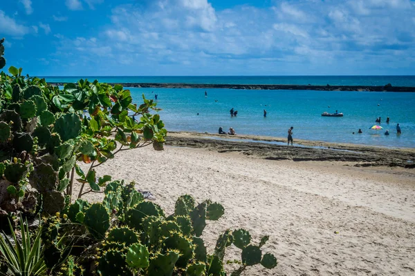 Brazíliában Praia Frances Marechal Deodoro Állam Alagoas — Stock Fotó