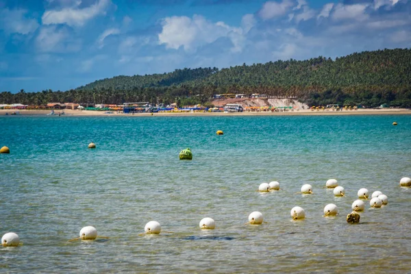 Pláže Brazílii Praia Frances Marechal Deodoro Státu Alagoas — Stock fotografie