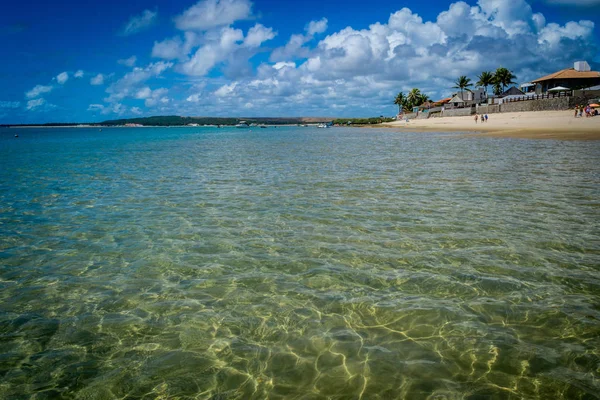 Παραλίες Της Βραζιλίας Praia Κάνει Frances Marechal Deodoro Κράτος Alagoas — Φωτογραφία Αρχείου