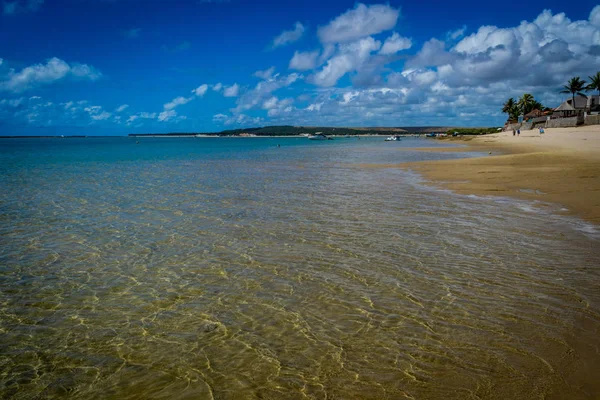 Παραλίες Της Βραζιλίας Praia Κάνει Frances Marechal Deodoro Κράτος Alagoas — Φωτογραφία Αρχείου