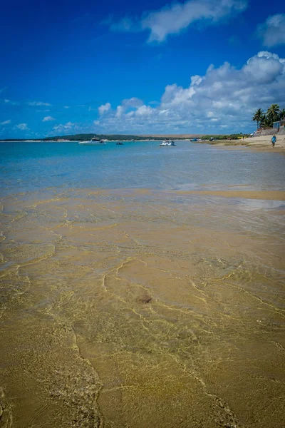 Praias Brasil Praia Frances Marechal Deodoro Estado Alagoas — Fotografia de Stock