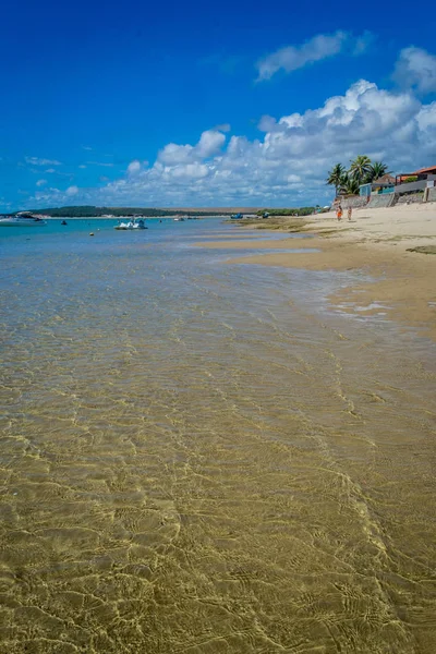 Παραλίες Της Βραζιλίας Praia Κάνει Frances Marechal Deodoro Κράτος Alagoas — Φωτογραφία Αρχείου