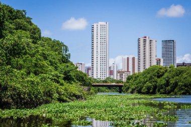 Brezilya - Recife, Pernambuco devletin başkenti şehirler