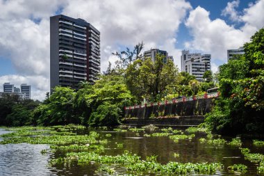 Brezilya - Recife, Pernambuco devletin başkenti şehirler