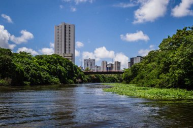 Brezilya - Recife, Pernambuco devletin başkenti şehirler