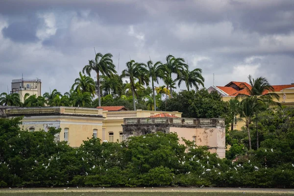 Ciudades Brasil Recife Capital Del Estado Pernambuco — Foto de Stock