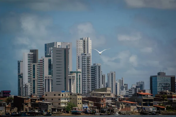 Brezilya Recife Pernambuco Devletin Başkenti Şehirler — Stok fotoğraf