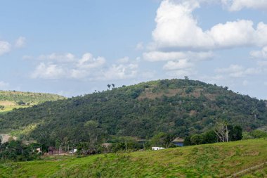 Pernambuco eyaletinin iç kesimlerinden, Brezilya 'nın kuzeydoğusundan, Paudalho şehrine yakın manzaralar.