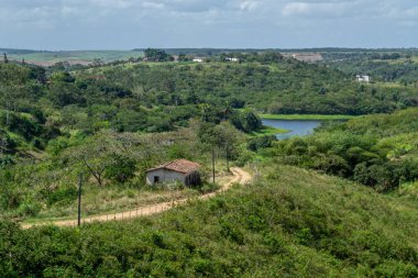 Pernambuco eyaletinin iç kesimlerinden, Brezilya 'nın kuzeydoğusundan, Paudalho şehrine yakın manzaralar.