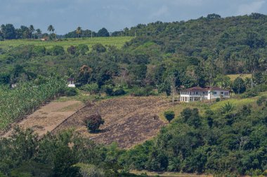Pernambuco eyaletinin iç kesimlerinden, Brezilya 'nın kuzeydoğusundan, Paudalho şehrine yakın manzaralar.