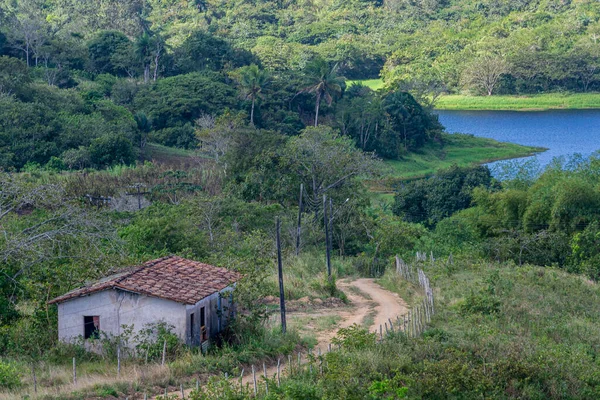 Adegan Dari Pedalaman Negara Bagian Pernambuco Timur Laut Brasil Dekat — Stok Foto