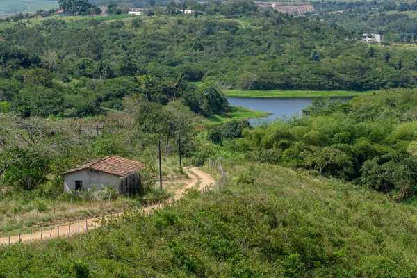 Scener Från Insidan Delstaten Pernambuco Nordost Brasilien Nära Staden Paudalho — Stockfoto