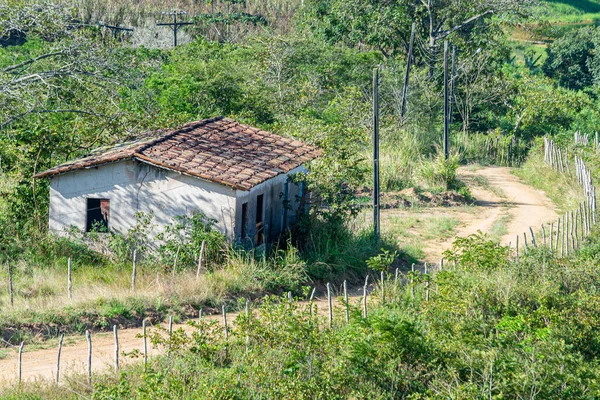 Cenas Interior Estado Pernambuco Nordeste Brasil Perto Cidade Paudalho — Fotografia de Stock