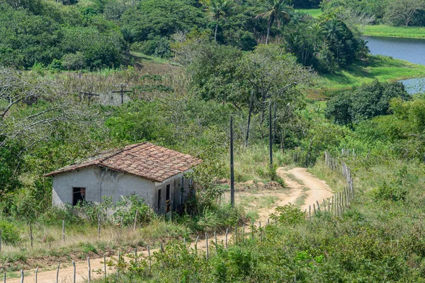 Cenas Interior Estado Pernambuco Nordeste Brasil Perto Cidade Paudalho — Fotografia de Stock