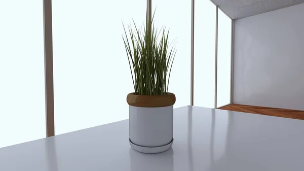 Plant Vase Table Office Render Daylight — Stock Photo, Image