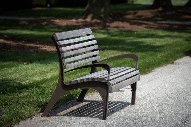 Tahta park bankının doğal bahçesi yazın parktadır..