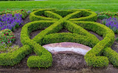 Bahçe tasarım parkı, çalılar ve süslemeli yeşil çimenler.