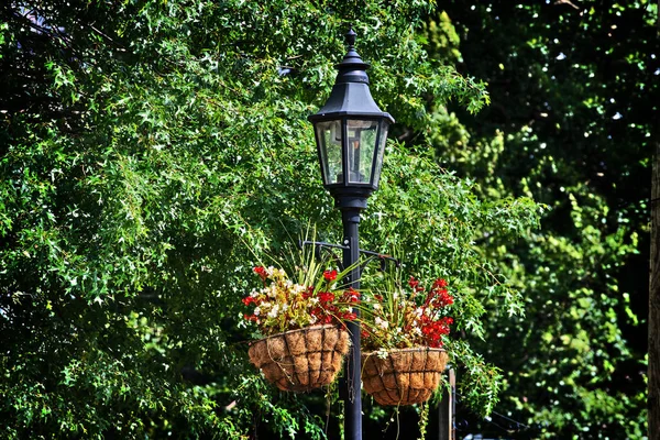 Straatlamp Versierd Door Bloemen Groene Lente Stijl Outdoor — Stockfoto