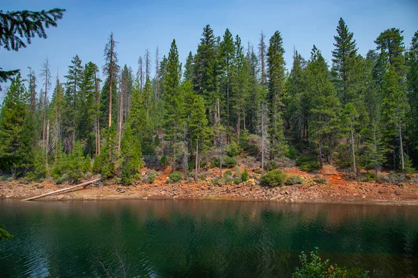 Zuckerkiefer Punkt State Park Bäume Blau Grün Wälder Natürlich — Stockfoto