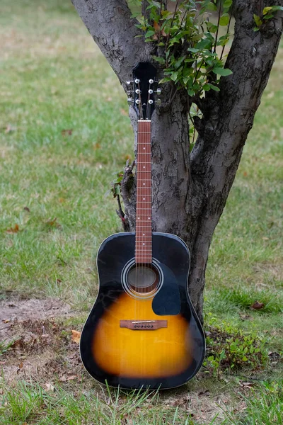 Zbliżenie Gitary Akustycznej Pobliżu Drzewa — Zdjęcie stockowe
