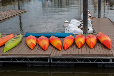 Renkli kanolar kiralamak için ahşap zemine uzan.