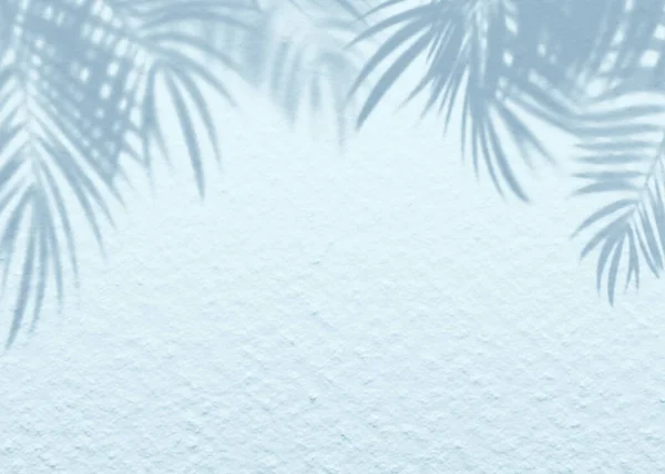 白色的蓝色粉刷水泥质感墙叶植物阴影背景 夏季热带旅行海滩与最小的清洁概念 扁平的手掌自然 — 图库照片