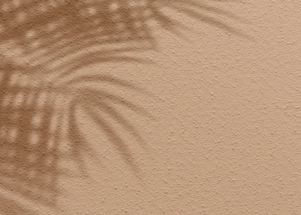 Коричневая Грязевая Решетка Текстуры Стены Листового Цемента Пальмовая Природа — стоковое фото