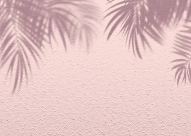 Pembe yumuşak çimento desenli duvar yaprağı gölge arka planı. Minimum konsepti olan yaz tropik seyahat plajı. Düz renk palmiye doğası. .