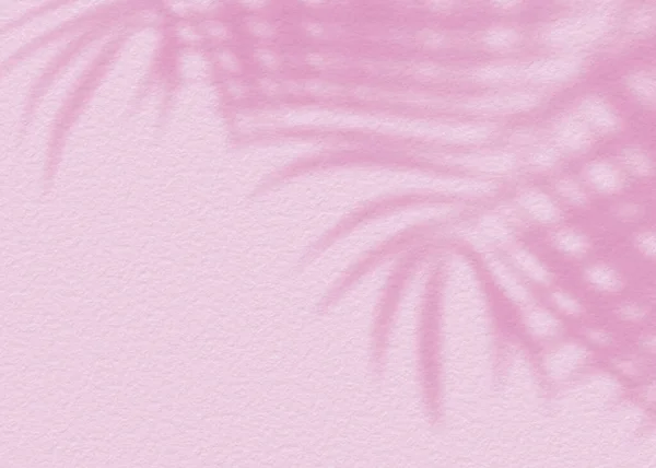 Rosa Textura Macia Cimento Parede Folha Planta Sombra Fundo Verão — Fotografia de Stock
