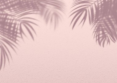Pembe yumuşak çimento desenli duvar yaprağı gölge arka planı. Minimum konsepti olan yaz tropik seyahat plajı. Düz renk palmiye doğası. .