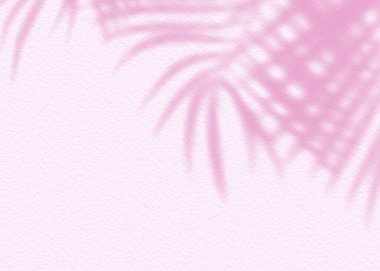 Pembe yumuşak çimento desenli duvar yaprağı gölge arka planı. Minimum konsepti olan yaz tropik seyahat plajı. Düz renk palmiye doğası..