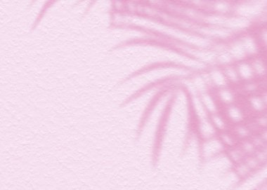 Pembe yumuşak çimento desenli duvar yaprağı gölge arka planı. Minimum konsepti olan yaz tropik seyahat plajı. Düz renk palmiye doğası..